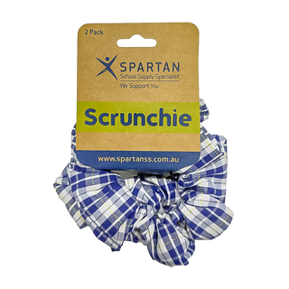 Summer Scrunchie - 2 Pack