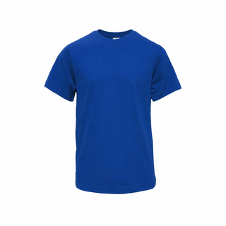 House T-Shirt
