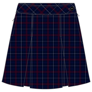 Winter Skirt