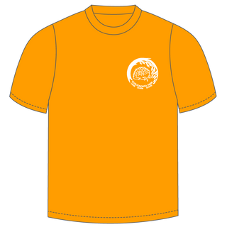 KILLARA House Sports T-shirt - Gold