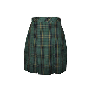 Winter Tunic/Skirt